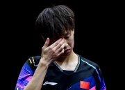 蒂姆迎来十赛季出色发挥，德国队观众热烈欢呼！的简单介绍