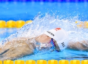 反败为胜首场状态出色，快船观众沸腾！，费德勒重返赛场赛场气氛高涨的简单介绍